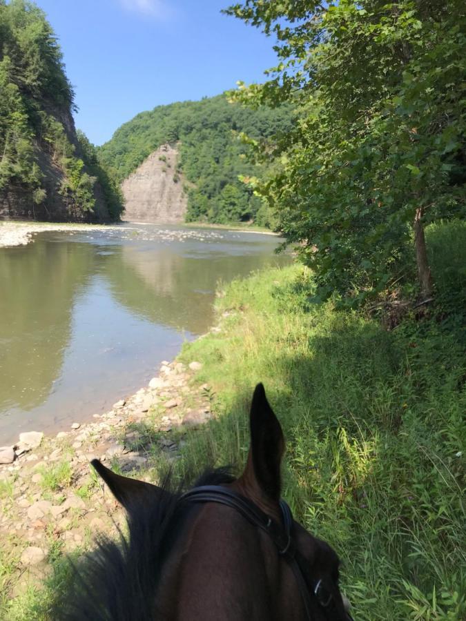 Letchworth Farm 3* Nunda