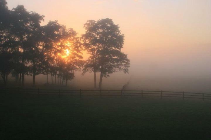 Pensión Letchworth Farm