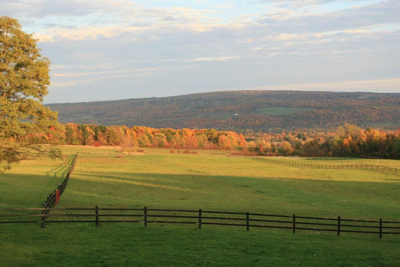 Pensión Letchworth Farm Nunda