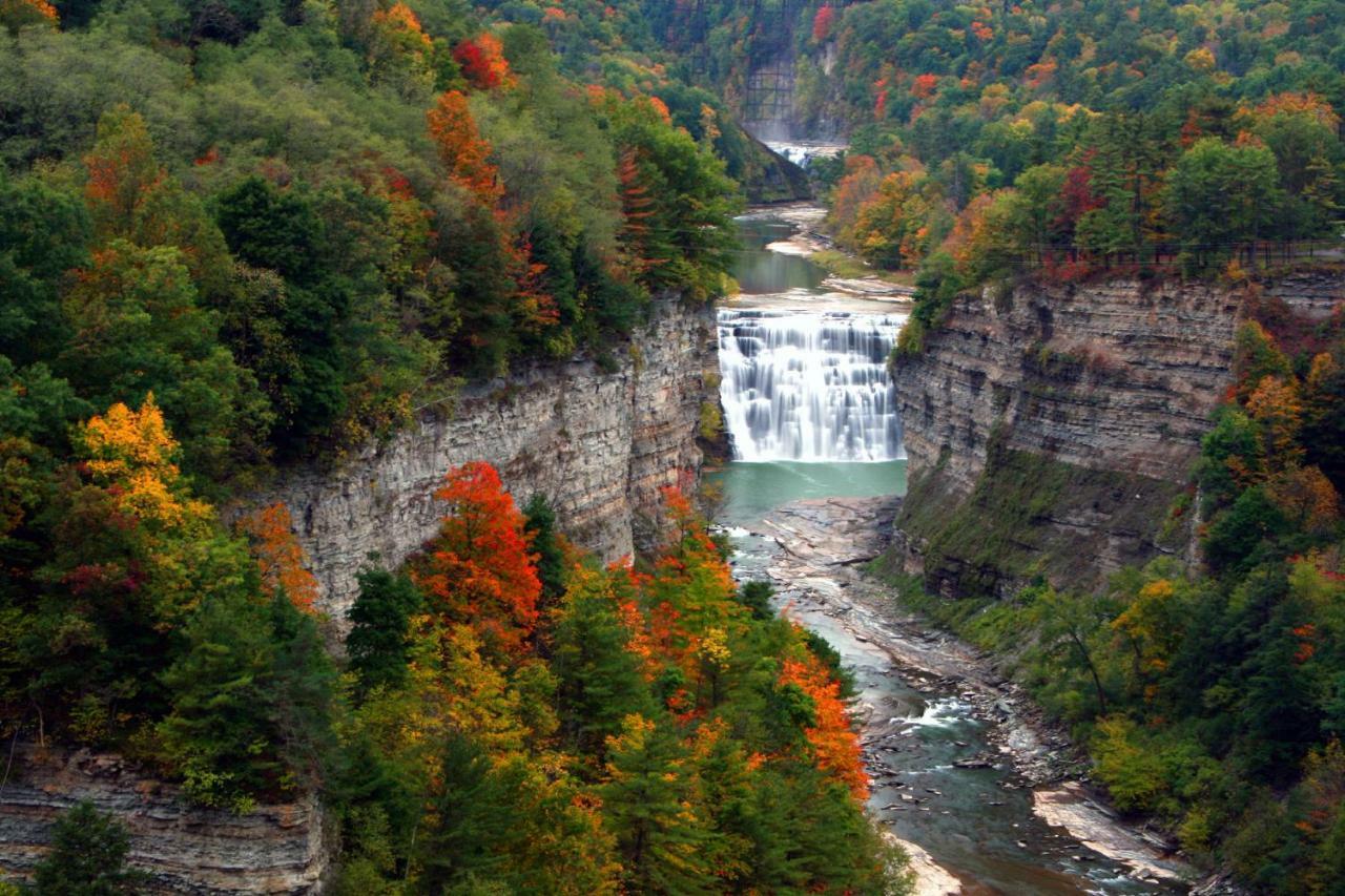Letchworth Farm Nunda