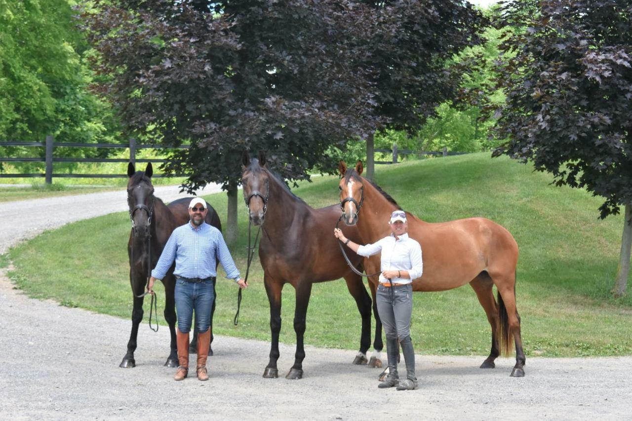 Letchworth Farm 3*